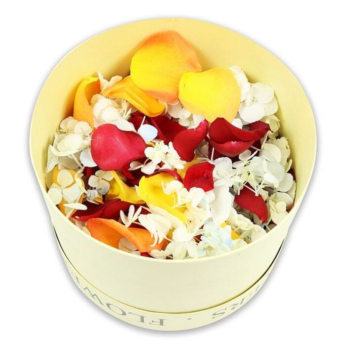 The photograph presents a simple yet luxurious tribute arrangement: a pale cream, cylindrical hatbox filled to the brim with a rich blend of dried flower petals and tiny florets, placed against a stark white background. The box has a smooth, matte finish with the word FLOWERS subtly debossed along its rim, giving it a discreetly elegant appearance, much like something you might receive from a specialist funeral florist serving Marks Gate and the surrounding Collier Row and Chadwell Heath areas. From this softly coloured container, petals rise in a gentle mound, suggesting abundance without excess. Velvety rose petals in deep, wine-red tones anchor the composition, symbolising enduring love and remembrance. Intertwined with them are bright yellow petals that add a quiet touch of warmth, and soft peach-orange tones that bring a sense of gentle comfort rather than celebration. Scattered throughout are delicate clusters of white hydrangea florets, occasionally tinged with the lightest blue, lending a feathery, cloud-like texture that lightens the mix. Each petal appears carefully preserved, with edges that curl naturally and shades that transition subtly from centre to tip, giving the impression that they were gathered and dried at their peak. The elevated, slightly overhead angle of the shot showcases the intricate interplay of shapes and colours, while the white background removes all context so the viewer can focus on the floral details. This kind of preserved petal mix would be fitting for scattering at a woodland burial near Marks Gate, lining the top of a coffin for a final farewell, or filling a memory bowl at a wake at home, where family and friends can pause, touch a petal, and reflect quietly on a life well lived.