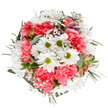 This beautifully arranged bouquet encapsulates the gentle radiance of Marks Gate's spring and the joy found in small gestures. At its heart, crisp white daisies with glowing lime centers stand proud among plush coral-pink carnations, each ruffle echoing with warmth and softness. Wisps of ethereal gypsophila thread assertively through the bouquet, casting a dreamy, star-like sparkle reminiscent of morning light over Valence Park. Subtle buds, possibly blush-toned alstroemeria graced with streaks of purple, peek shyly amidst the blossoms, their understated elegance promising new blooms. Lush greenery-including the velvety, silver-green of eucalyptus and deeper-toned foliage-forms a harmonious backdrop, cradling each flower with supportive grace. The palette is fresh and uplifting, suitable for marking life's happiest moments-whether celebrating a birthday, congratulating someone on a milestone, or offering a cheerful pick-me-up to a loved one in Marks Gate. Every stem is thoughtfully placed, creating a tranquil yet exuberant display that feels like a florist's devotion brought to life. The result is a bouquet that radiates gratitude, celebration, and hope, thoughtfully available for same-day delivery to homes and businesses across the local area.